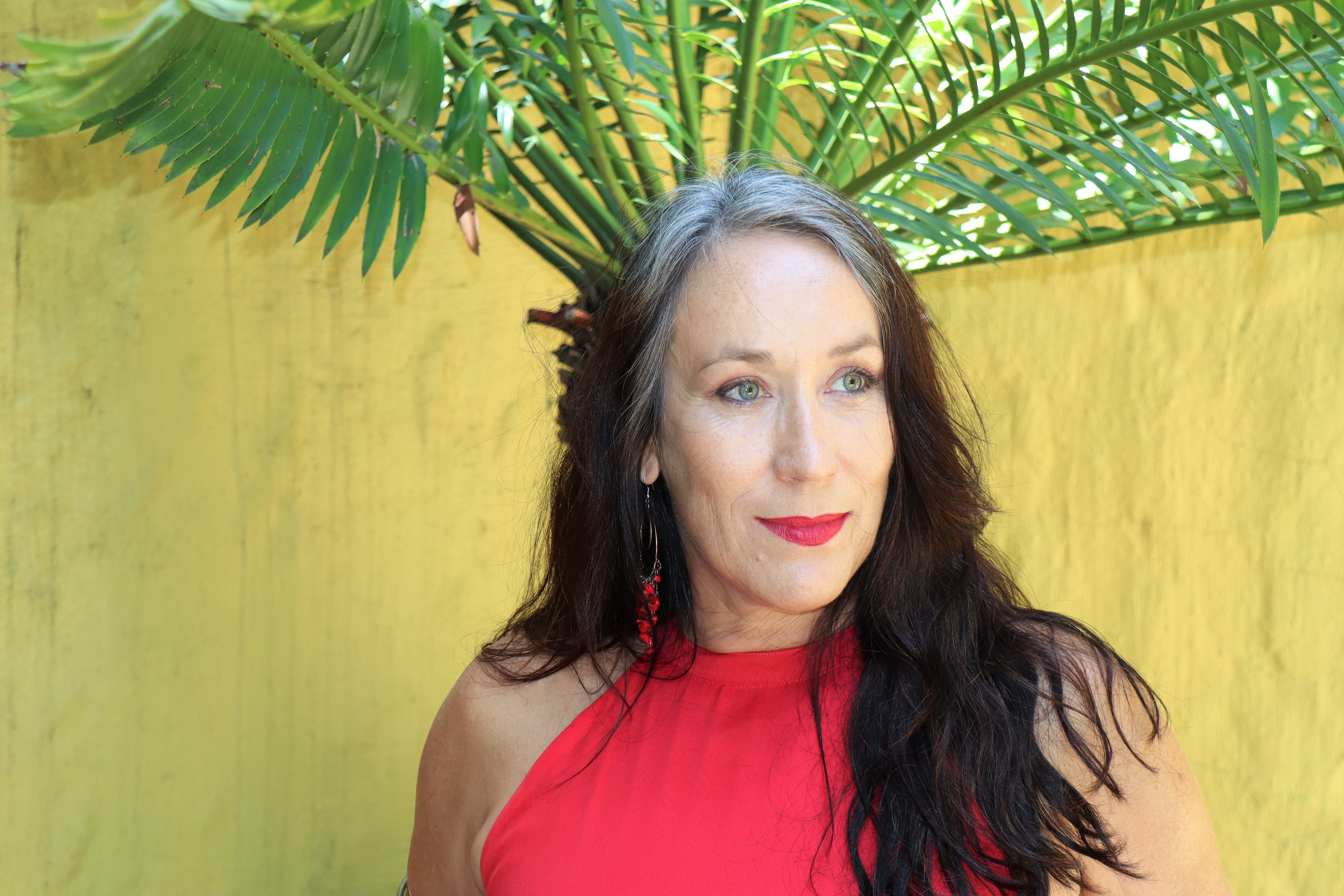 1. Red Dress (17) (1)