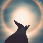 Untitled design (61)